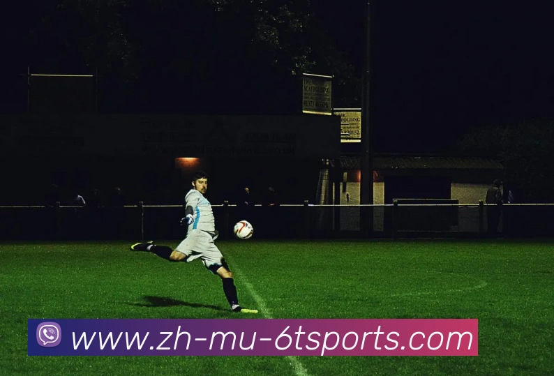 6T体育APP 封面图